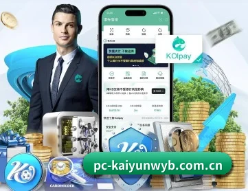 开云网站 APP